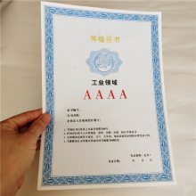 【技术评定证书印刷_防伪等级证书订做图片】技术评定证书印刷_防伪等级证书订做 - 瑞胜达