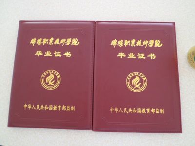 高级荣誉证书定做 毕业证书印刷 定制颁奖证书 指定印刷厂