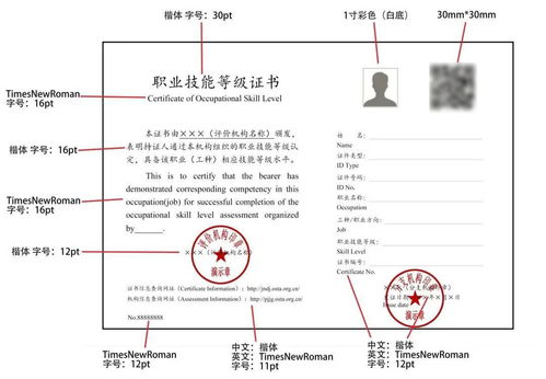 职业技能等级证书难辨真假 人社部发规范了
