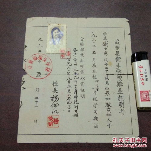 孔网分类