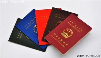 爱普生lq 790k专业证书打印机攀高峰
