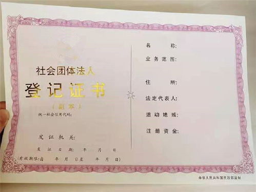 廊坊机动车登记证书加工制作 菊花水印防伪证书印刷厂